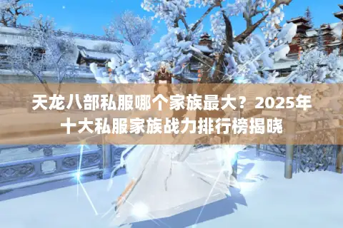 天龙八部私服哪个家族最大？2025年十大私服家族战力排行榜揭晓