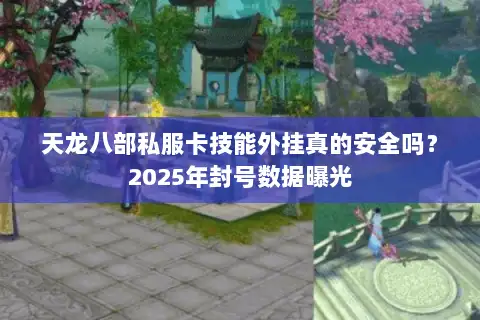 天龙八部私服卡技能外挂真的安全吗？2025年封号数据曝光