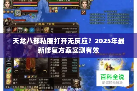天龙八部私服打开无反应？2025年最新修复方案实测有效