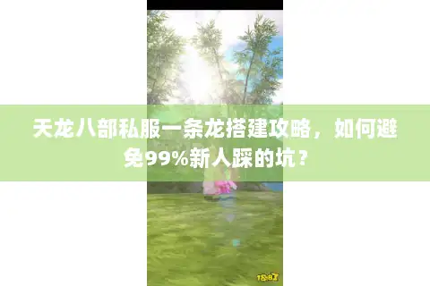 天龙八部私服一条龙搭建攻略,如何避免99%新人踩的坑? 天龙八部私服一条龙搭建攻略,如何避免99%新人踩的坑?