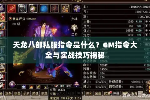 天龙八部私服指令是什么?GM指令大全与实战技巧揭秘 天龙八部私服指令是什么?GM指令大全与实战技巧揭秘