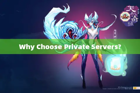 Why Choose Private Servers? Why Choose Private Servers?