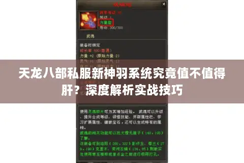 天龙八部私服新神羽系统究竟值不值得肝?深度解析实战技巧 天龙八部私服新神羽系统究竟值不值得肝?深度解析实战技巧