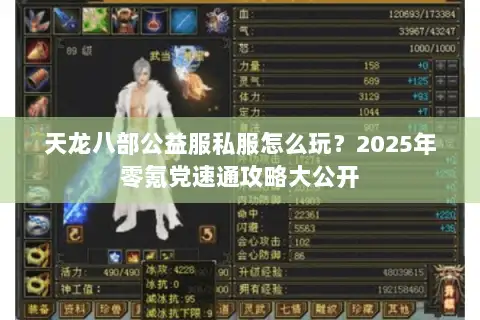 天龙八部公益服私服怎么玩？2025年零氪党速通攻略大公开