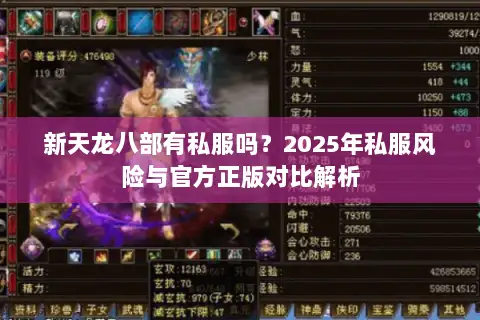 新天龙八部有私服吗?2025年私服风险与官方正版对比解析 新天龙八部有私服吗?2025年私服风险与官方正版对比解析