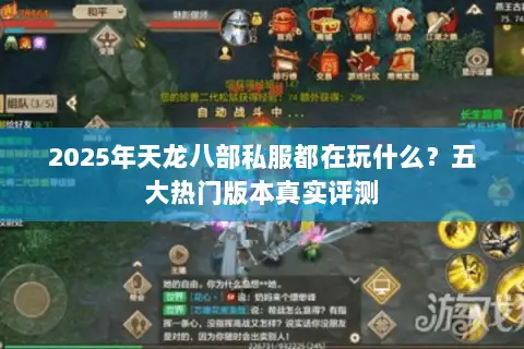 2025年天龙八部私服都在玩什么？五大热门版本真实评测