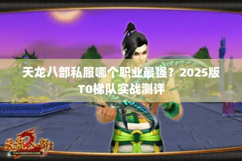 天龙八部私服哪个职业最强？2025版T0梯队实战测评