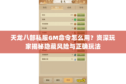 天龙八部私服GM命令怎么用？资深玩家揭秘隐藏风险与正确玩法