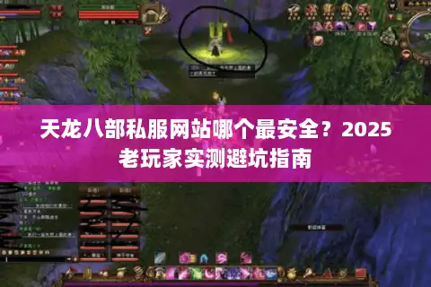 天龙八部私服网站哪个最安全？2025老玩家实测避坑指南