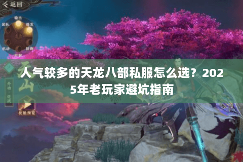 人气较多的天龙八部私服怎么选？2025年老玩家避坑指南