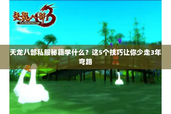天龙八部私服秘籍学什么？这5个技巧让你少走3年弯路
