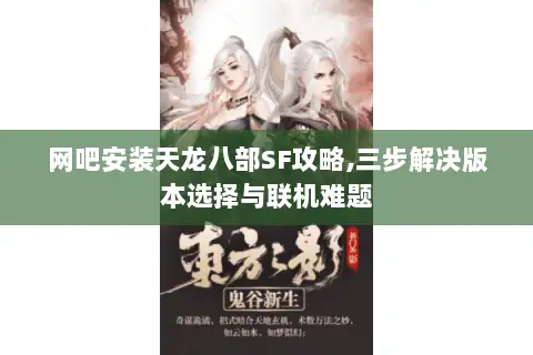 网吧安装天龙八部SF攻略,三步解决版本选择与联机难题