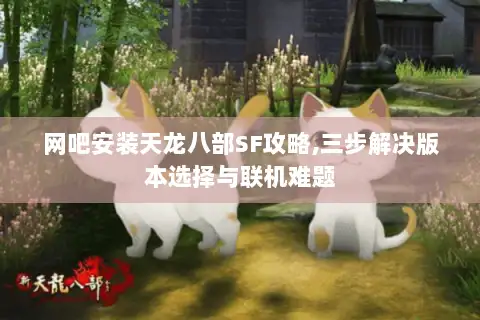 网吧安装天龙八部SF攻略,三步解决版本选择与联机难题