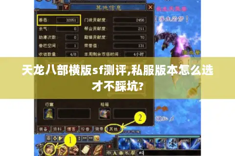 天龙八部横版sf测评,私服版本怎么选才不踩坑?
