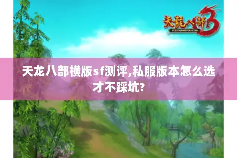 天龙八部横版sf测评,私服版本怎么选才不踩坑?