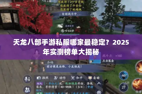 天龙八部手游私服哪家最稳定？2025年实测榜单大揭秘
