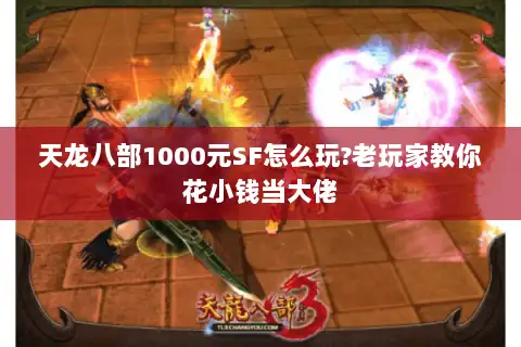 天龙八部1000元SF怎么玩?老玩家教你花小钱当大佬 天龙八部1000元SF怎么玩?老玩家教你花小钱当大佬
