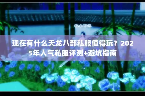 现在有什么天龙八部私服值得玩?2025年人气私服评测+避坑指南 现在有什么天龙八部私服值得玩?2025年人气私服评测+避坑指南