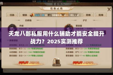 天龙八部私服用什么辅助才能安全提升战力？2025实测推荐