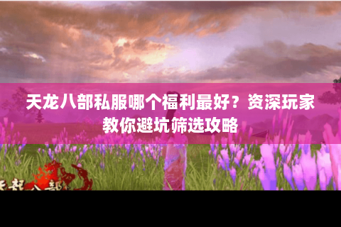 天龙八部私服哪个福利最好?资深玩家教你避坑筛选攻略 天龙八部私服哪个福利最好?资深玩家教你避坑筛选攻略