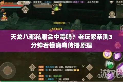天龙八部私服会中毒吗？老玩家亲测3分钟看懂病毒传播原理