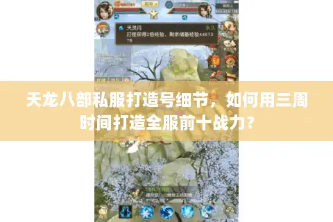 天龙八部私服打造号细节，如何用三周时间打造全服前十战力？