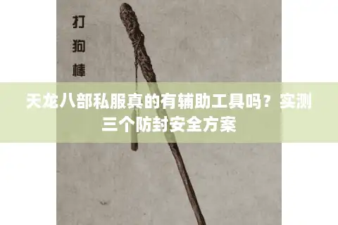 天龙八部私服真的有辅助工具吗？实测三个防封安全方案