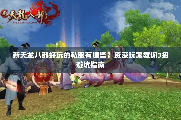 新天龙八部好玩的私服有哪些?资深玩家教你3招避坑指南 新天龙八部好玩的私服有哪些?资深玩家教你3招避坑指南