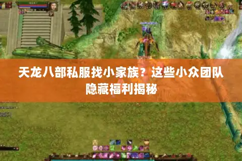 天龙八部私服找小家族？这些小众团队隐藏福利揭秘