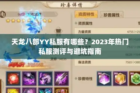 天龙八部YY私服有哪些？2023年热门私服测评与避坑指南