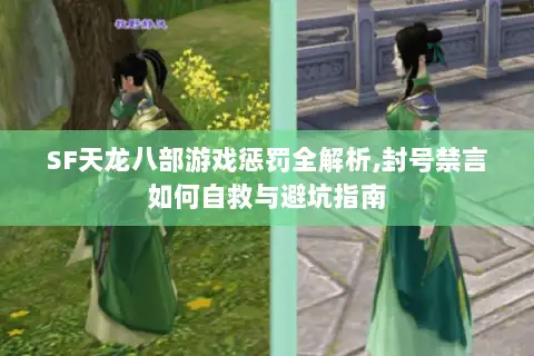 SF天龙八部游戏惩罚全解析,封号禁言如何自救与避坑指南 SF天龙八部游戏惩罚全解析,封号禁言如何自救与避坑指南