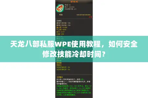 天龙八部私服WPE使用教程,如何安全修改技能冷却时间? 天龙八部私服WPE使用教程,如何安全修改技能冷却时间?