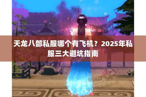 天龙八部私服哪个有飞机？2025年私服三大避坑指南
