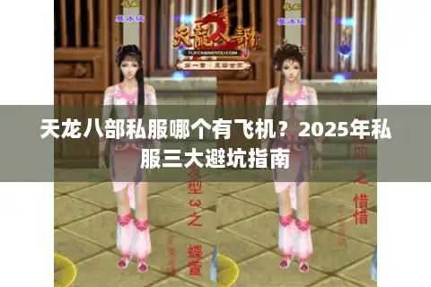 天龙八部私服哪个有飞机？2025年私服三大避坑指南