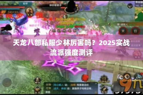 天龙八部私服少林厉害吗？2025实战流派强度测评