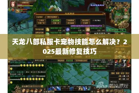 天龙八部私服卡宠物技能怎么解决？2025最新修复技巧