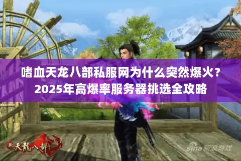 嗜血天龙八部私服网为什么突然爆火？2025年高爆率服务器挑选全攻略