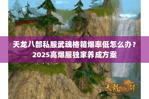 天龙八部私服武魂格箱爆率低怎么办？2025高爆服独家养成方案