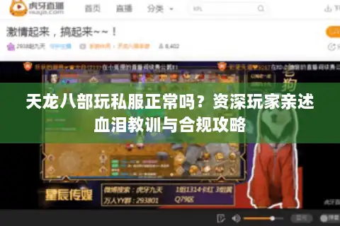 天龙八部玩私服正常吗？资深玩家亲述血泪教训与合规攻略