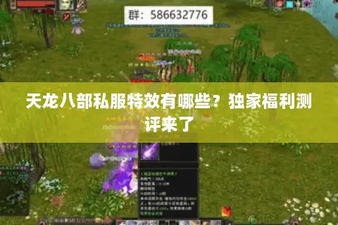 天龙八部私服特效有哪些？独家福利测评来了