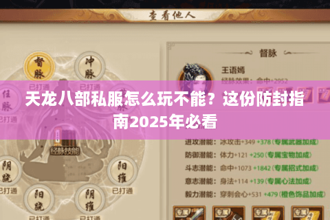 天龙八部私服怎么玩不能？这份防封指南2025年必看