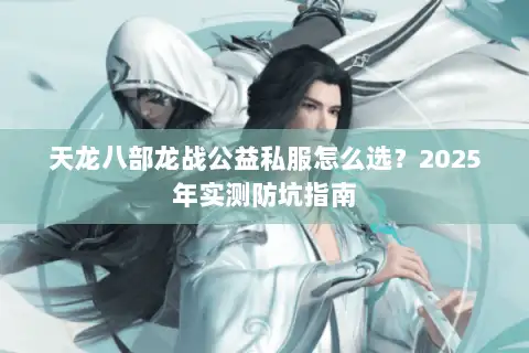 天龙八部龙战公益私服怎么选？2025年实测防坑指南