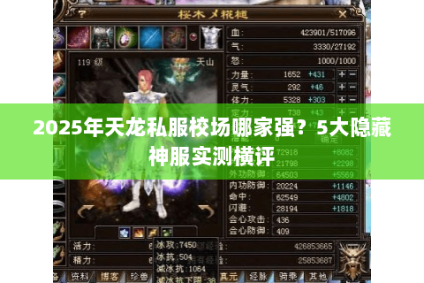 2025年天龙私服校场哪家强?5大隐藏神服实测横评 2025年天龙私服校场哪家强?5大隐藏神服实测横评