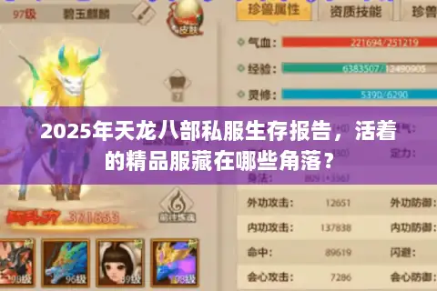 2025年天龙八部私服生存报告,活着的精品服藏在哪些角落? 2025年天龙八部私服生存报告,活着的精品服藏在哪些角落?