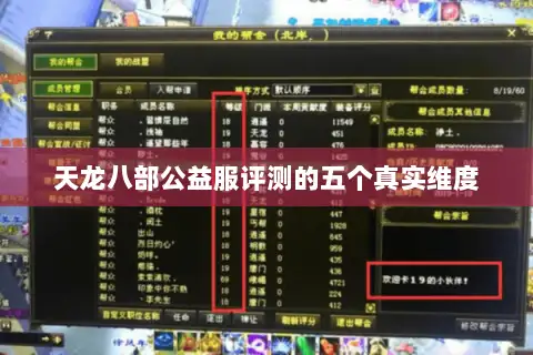 天龙八部公益服评测的五个真实维度