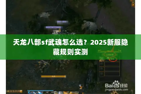 天龙八部sf武魂怎么选？2025新服隐藏规则实测