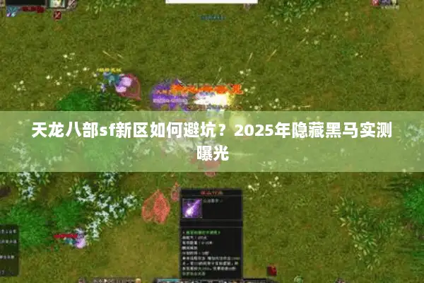天龙八部sf新区如何避坑?2025年隐藏黑马实测曝光 天龙八部sf新区如何避坑?2025年隐藏黑马实测曝光