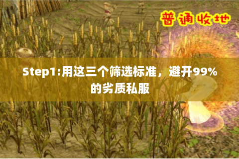 Step1:用这三个筛选标准,避开99%的劣质私服 Step1:用这三个筛选标准,避开99%的劣质私服