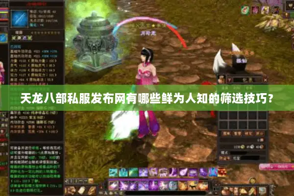 天龙八部私服发布网有哪些鲜为人知的筛选技巧？