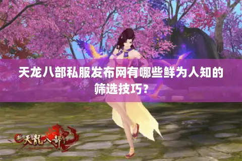 天龙八部私服发布网有哪些鲜为人知的筛选技巧？